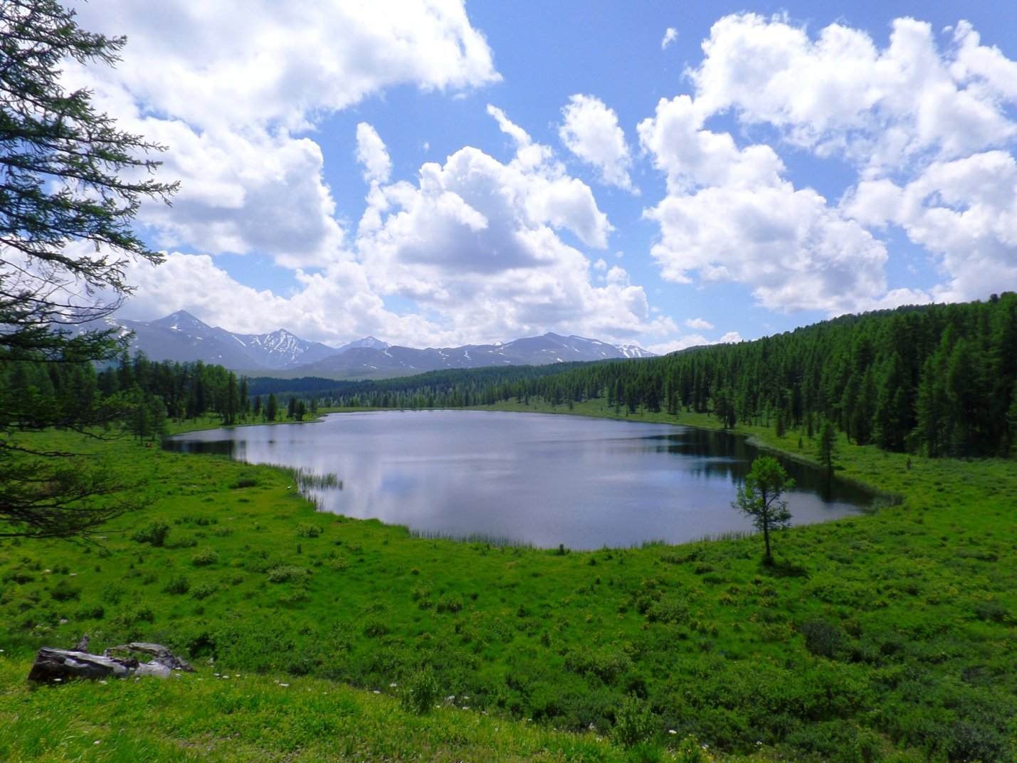 Kidelyu Lake, Ulagansky Pass (Улаганский перевал)